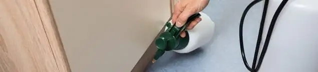 Bed bug exterminator treating baseboards and cracks with targeted spray in Cleveland, OH