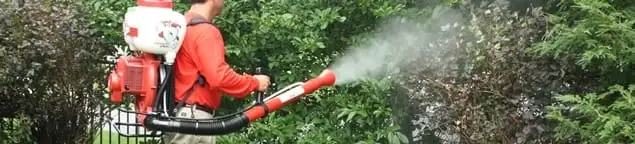Mosquito control technician fogging shrubs and landscaping for mosquito treatment in Cleveland, OH