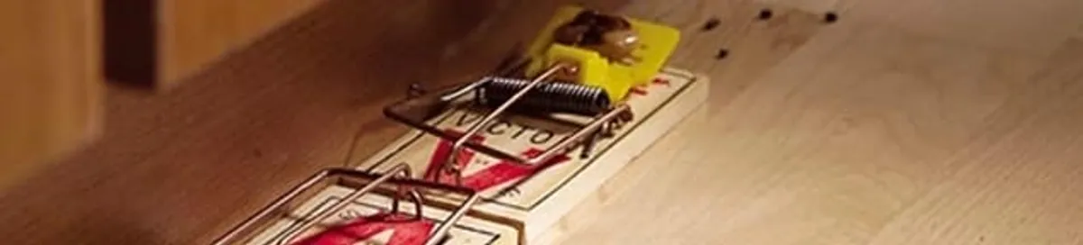 Rodent trap set indoors for rodent control and prevention in Cleveland, OH